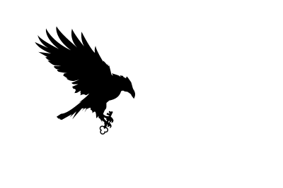 Voron Investment Group